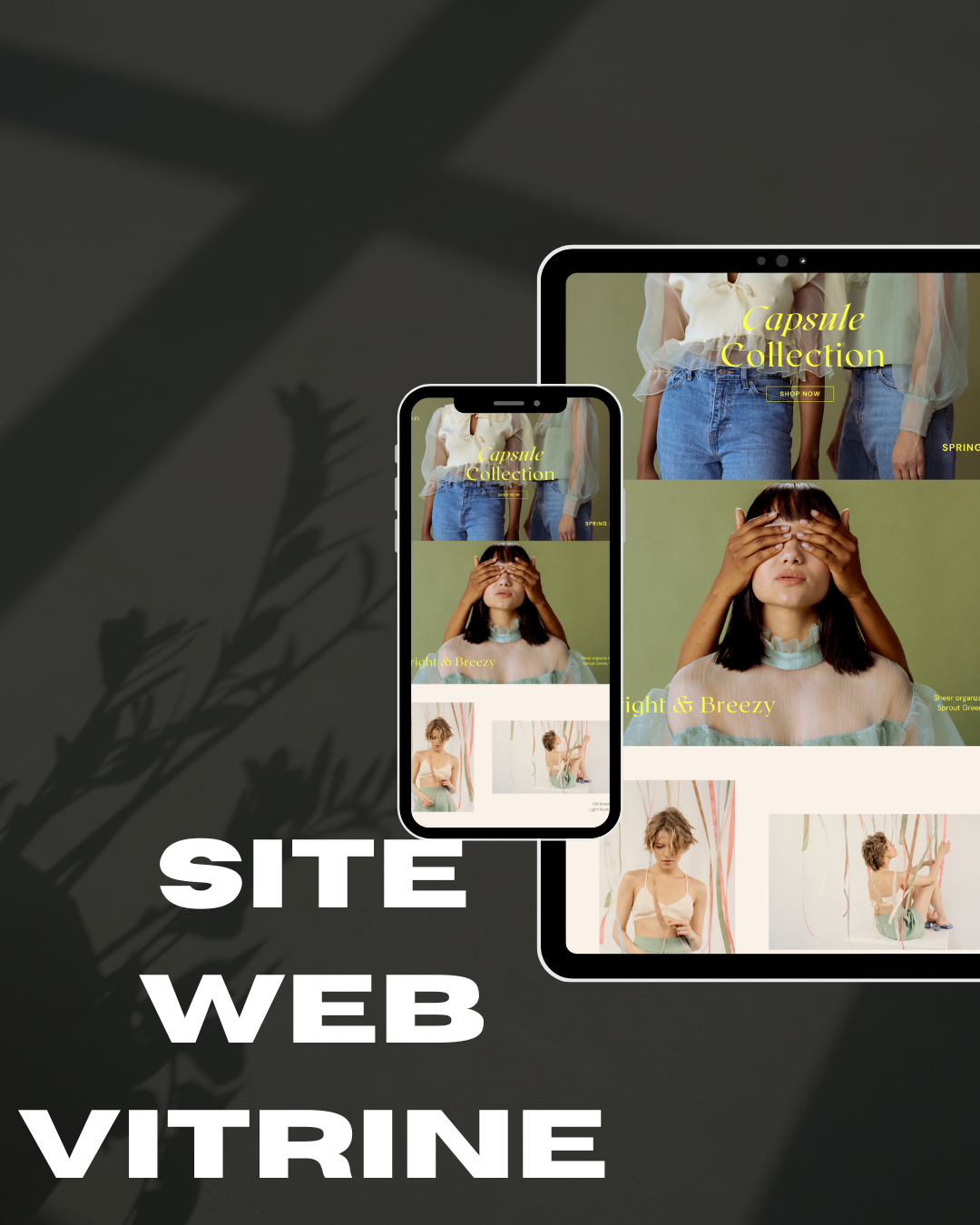 Site web vitrine